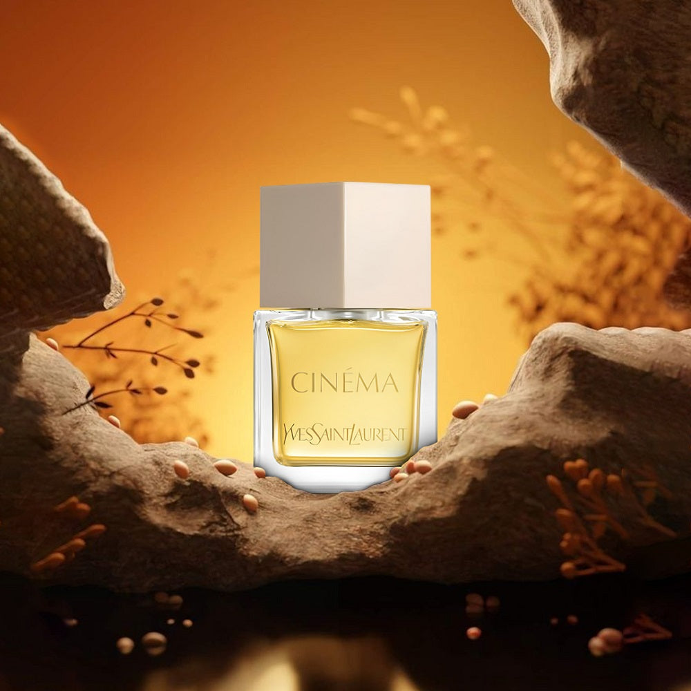 Yves Saint Laurent – Cinéma EDP