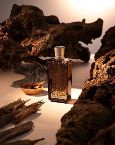 The Merchant Of Venice Nobilhomo Ottoman Amber EDP