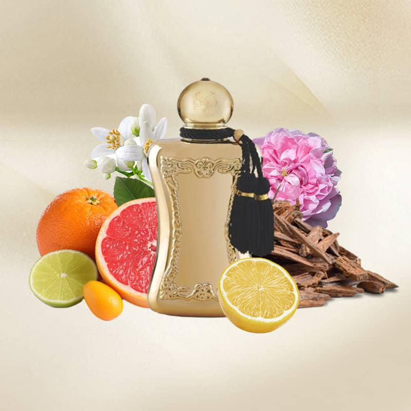 Parfums De Marly Darcy EDP