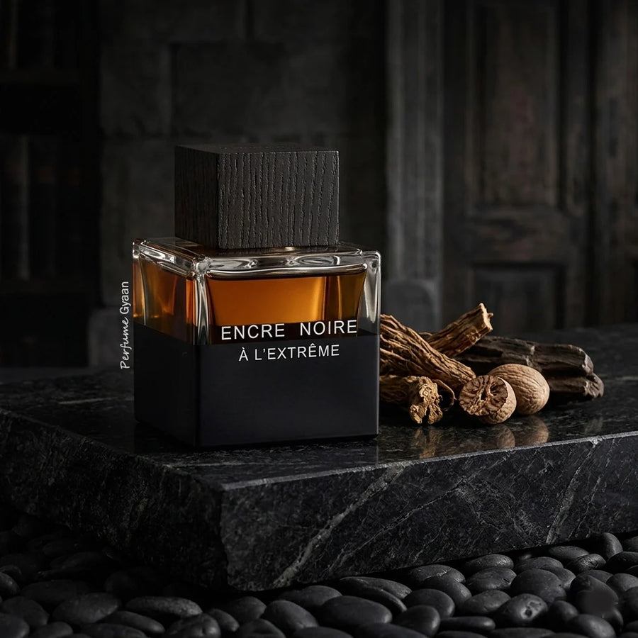 Lalique Encre Noire A L'Extreme EDP