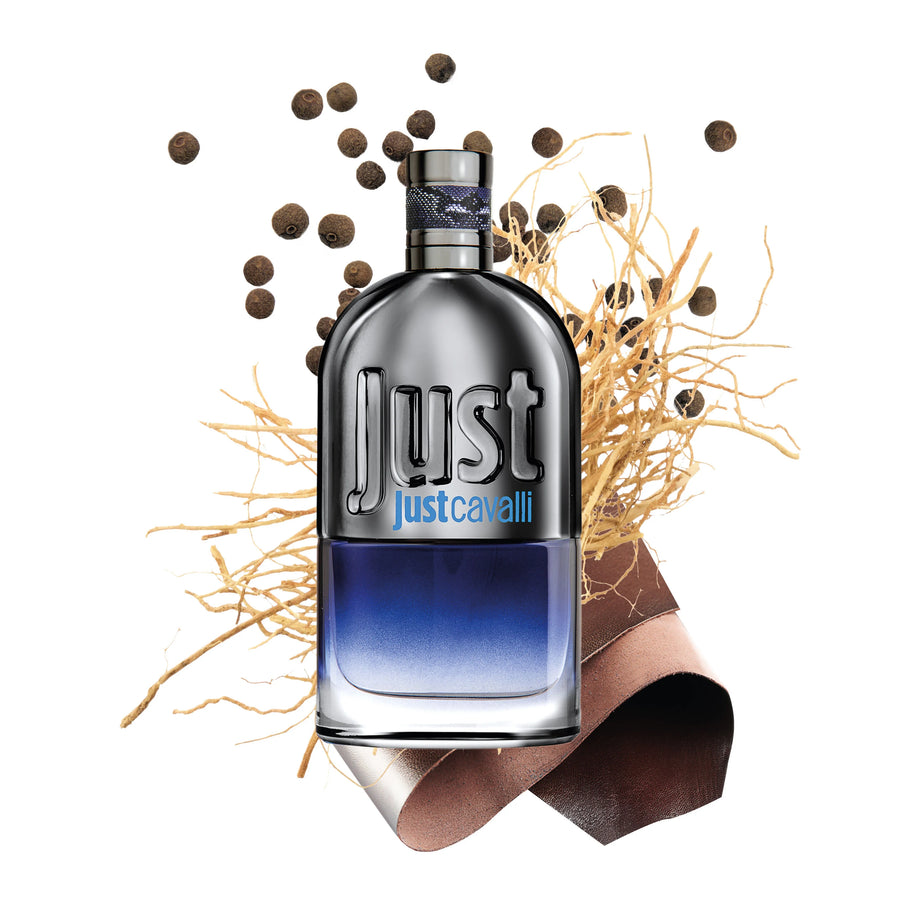 Roberto Cavalli Just Cavalli Him EDT