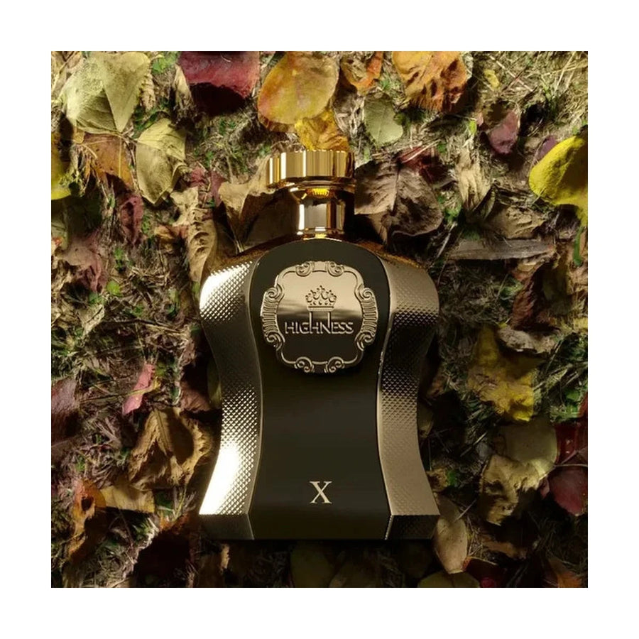 Afnan Highness X Brown, Eau de Parfum unisex – γνήσιο προϊόν – εικόνα 3